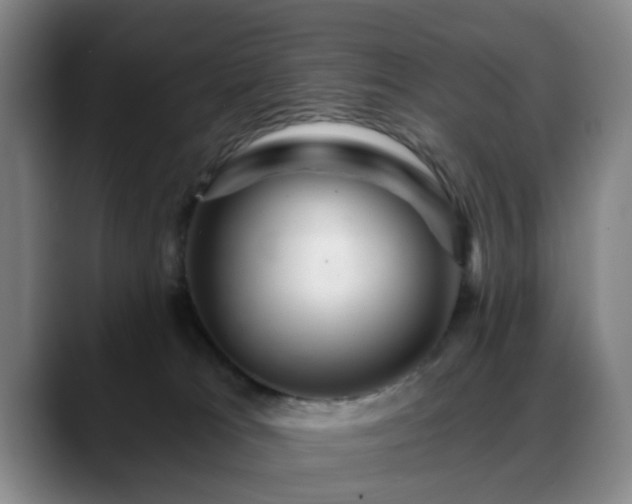 X0000088860037200706151743