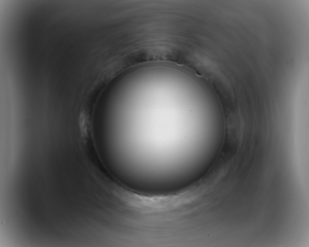 X0000088860038200706151743