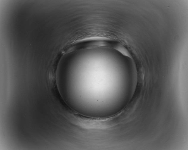 X0000088860040200706151743