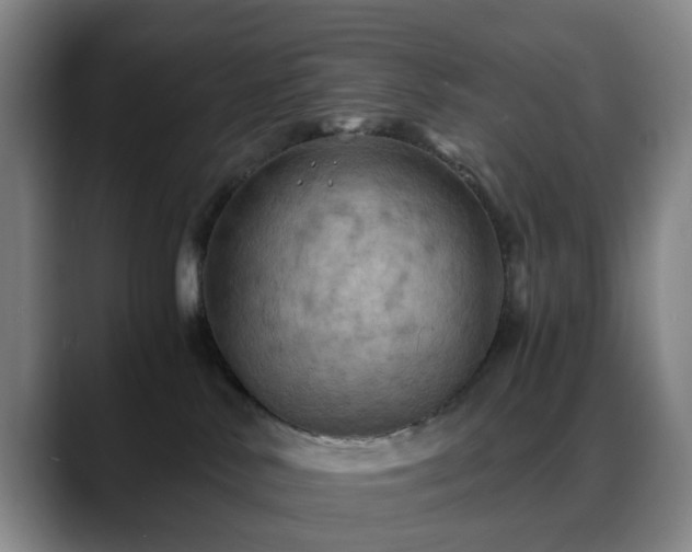 X0000088860042200706151743