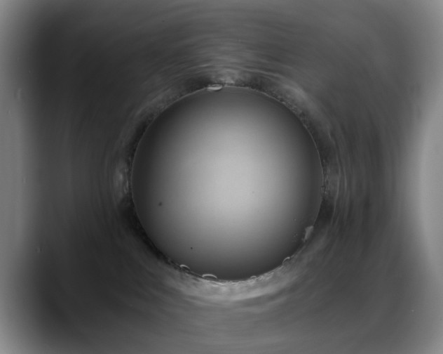 X0000088860043200706151743