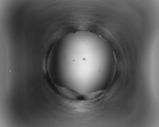 X0000088860044200706151743