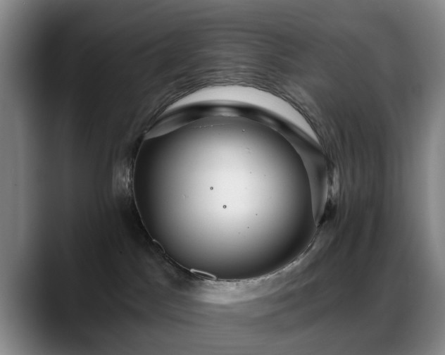X0000088860045200706151743