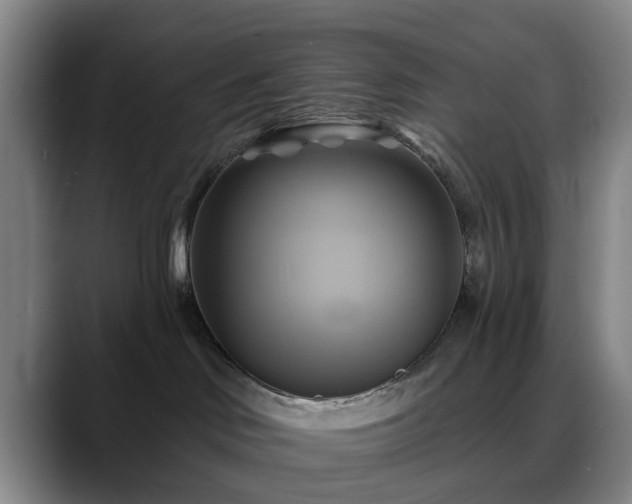 X0000088860046200706151743