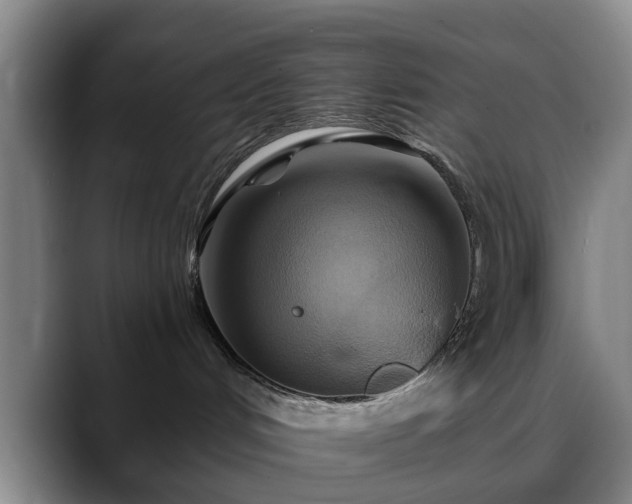 X0000088860048200706151743