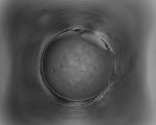 X0000088860049200706151743