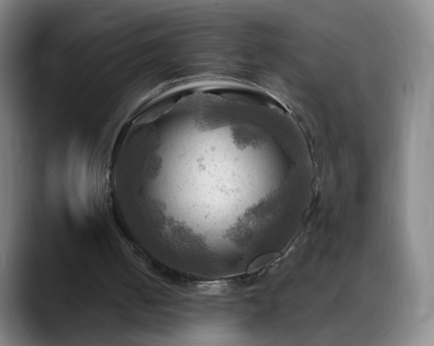 X0000088860050200706151743