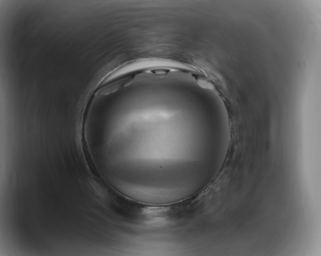 X0000088860051200706151743