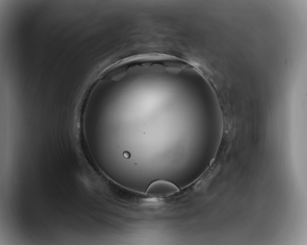 X0000088860053200706151743