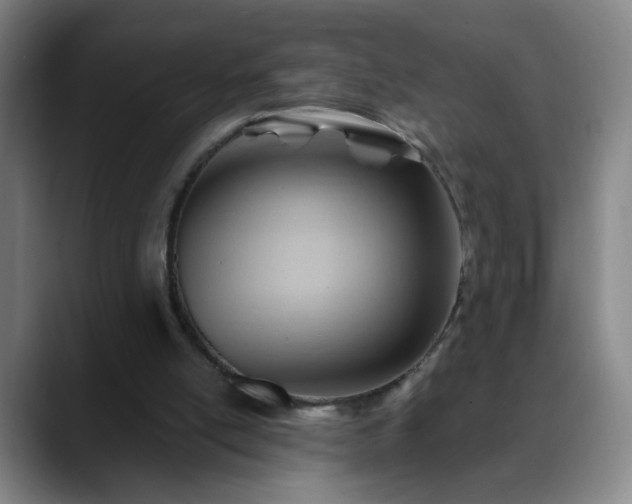 X0000088860054200706151743