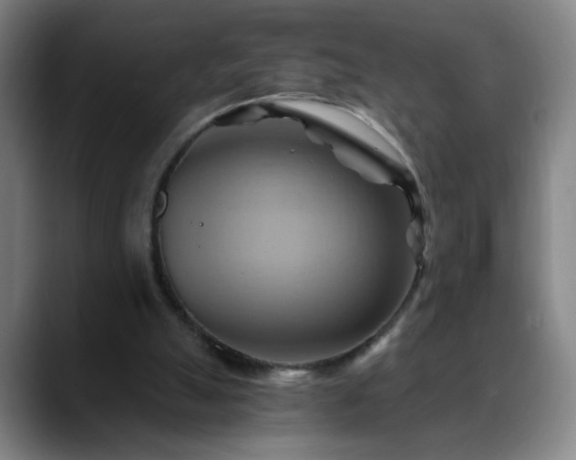 X0000088860055200706151743