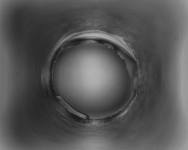 X0000088860056200706151743
