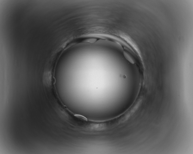 X0000088860057200706151743