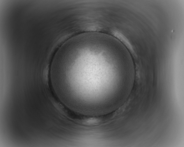 X0000088860058200706151743
