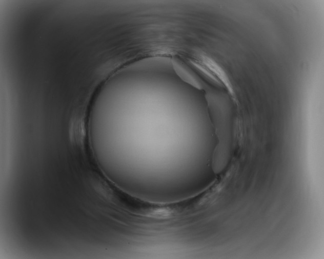 X0000088860059200706151743