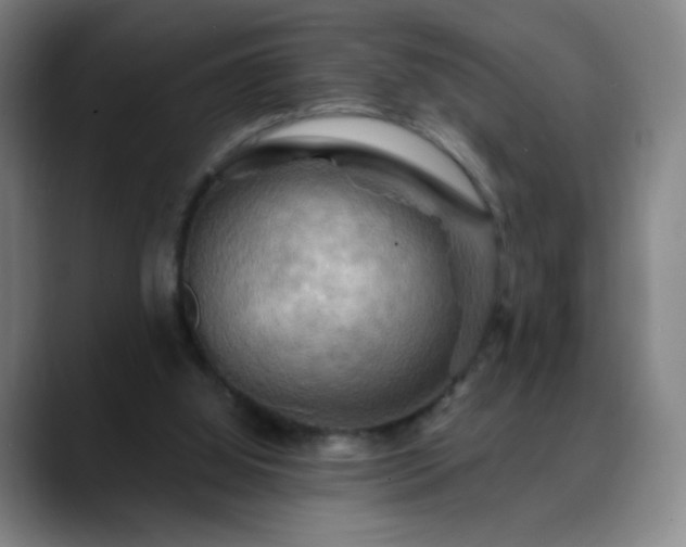 X0000088860060200706151743