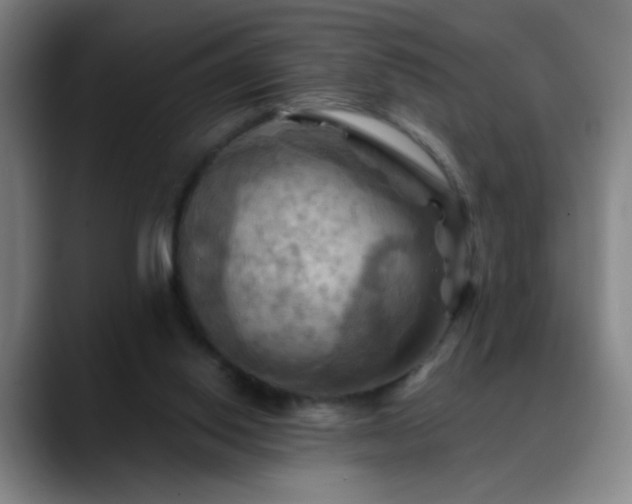 X0000088860062200706151743
