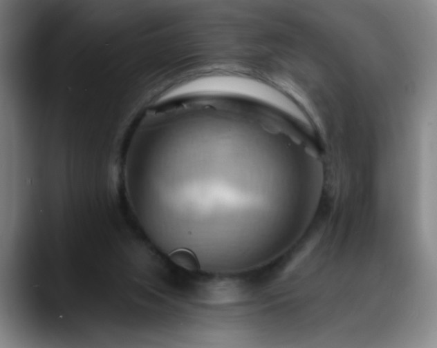X0000088860063200706151743