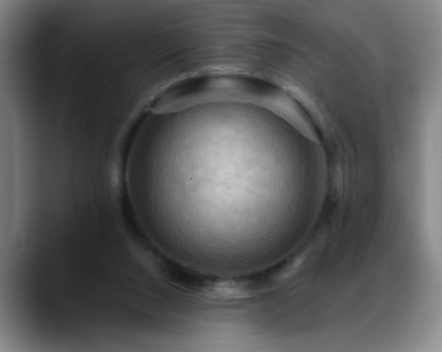 X0000088860064200706151743