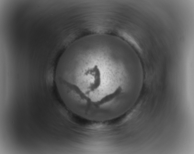 X0000088860065200706151743