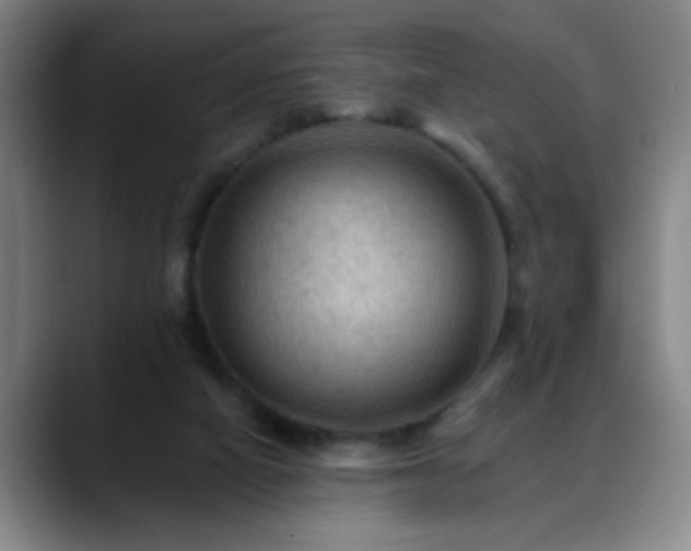 X0000088860066200706151743