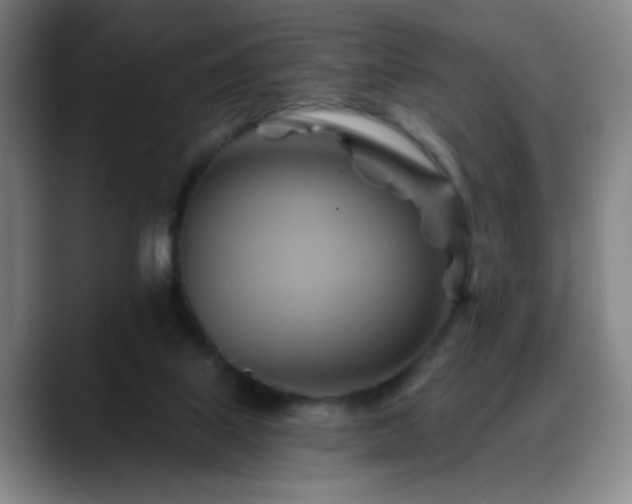 X0000088860067200706151743