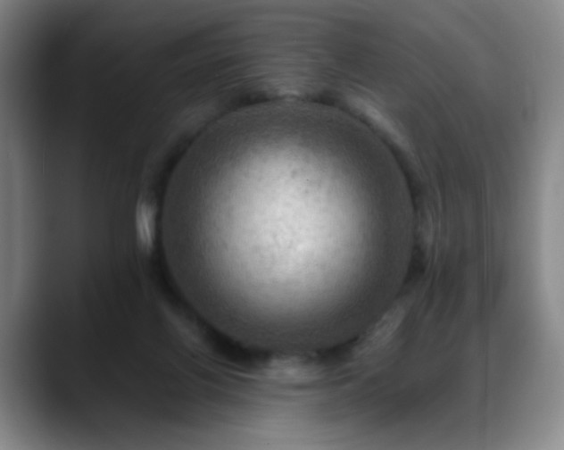 X0000088860070200706151743