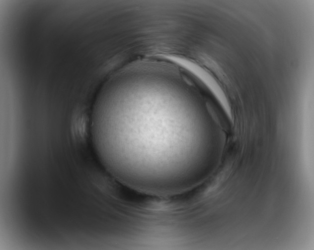 X0000088860071200706151743