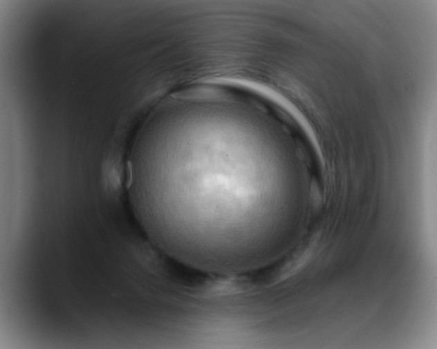 X0000088860072200706151743