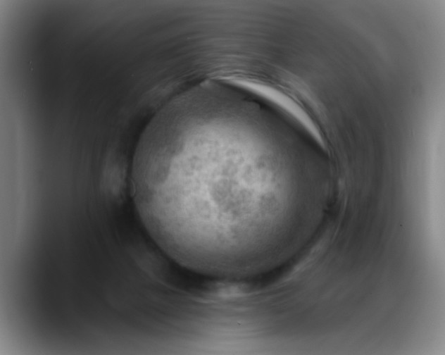 X0000088860073200706151743