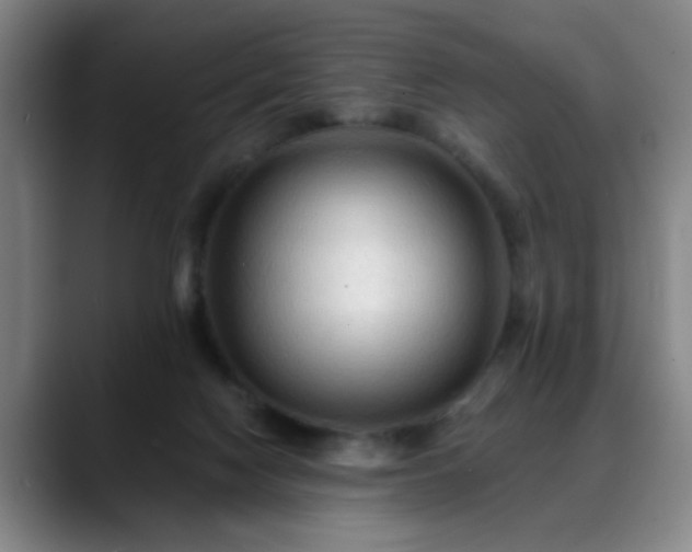 X0000088860074200706151743