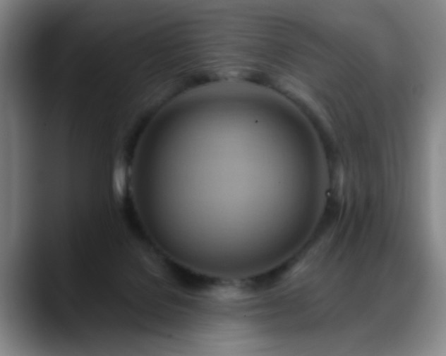 X0000088860076200706151743