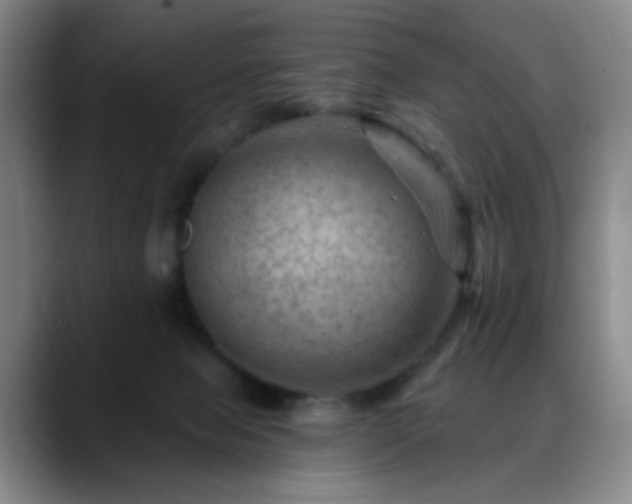 X0000088860077200706151743