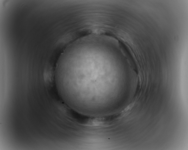 X0000088860078200706151743