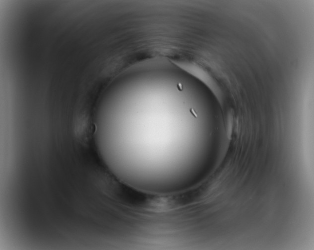X0000088860079200706151743