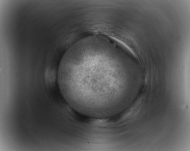 X0000088860081200706151743