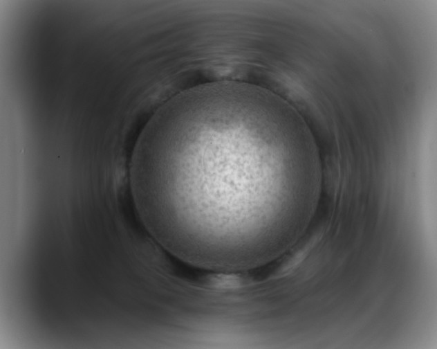 X0000088860085200706151743