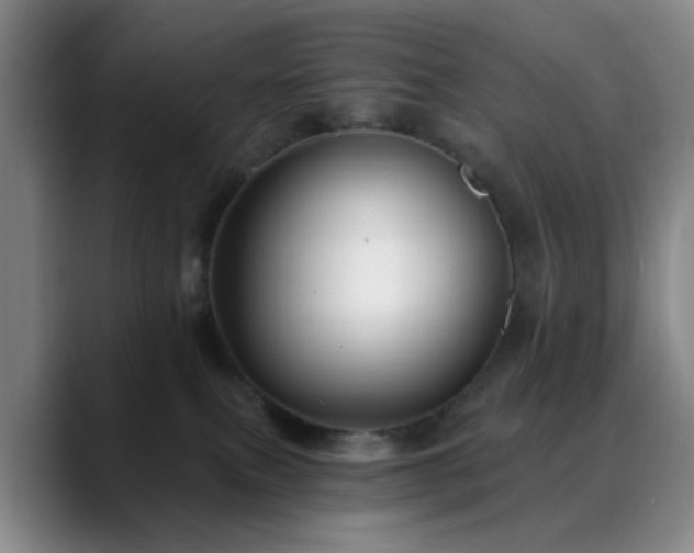 X0000088860087200706151743