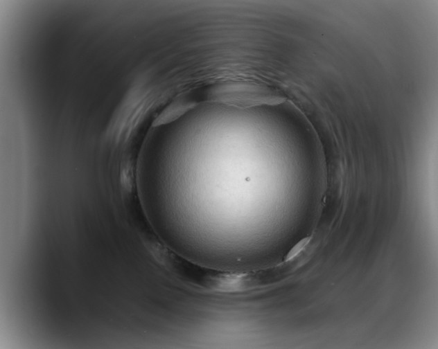 X0000088860090200706151743