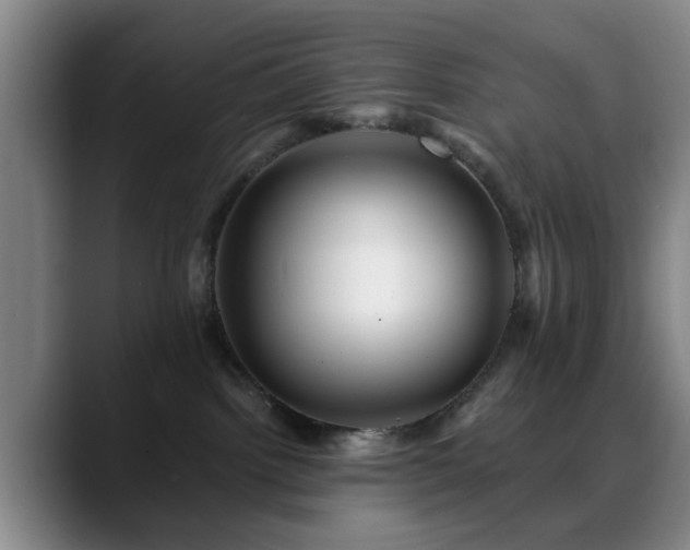 X0000088860092200706151743