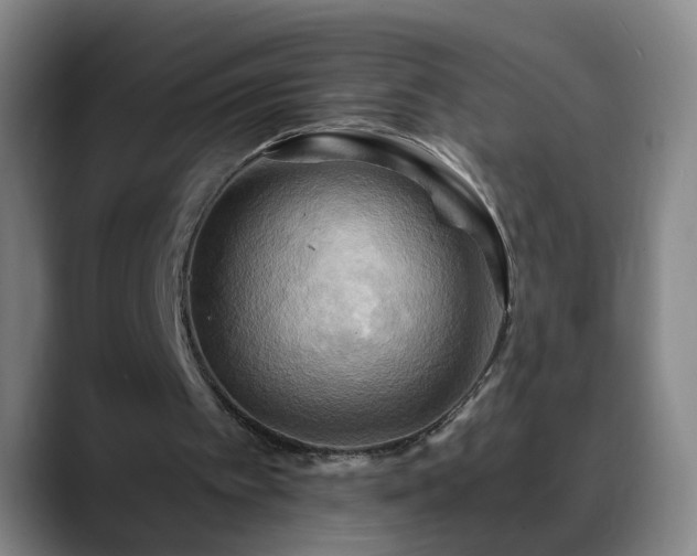 X0000088860097200706151743