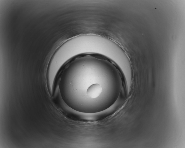 X0000088860099200706151743