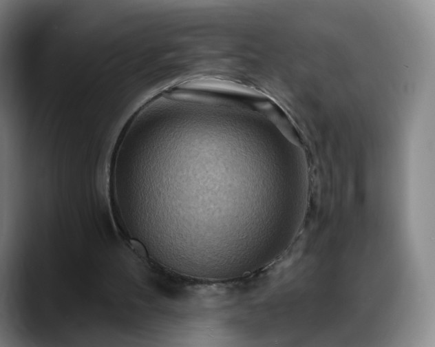 X0000088860100200706151743
