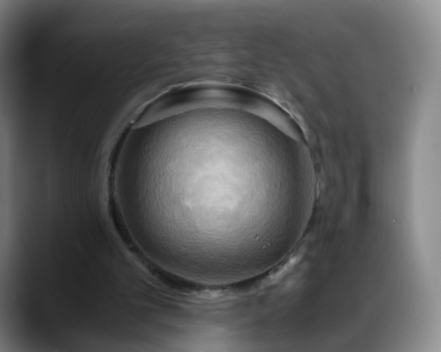 X0000088860101200706151743
