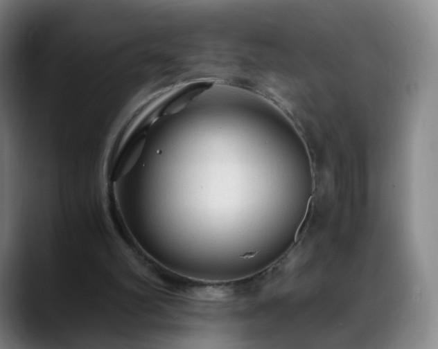 X0000088860102200706151743