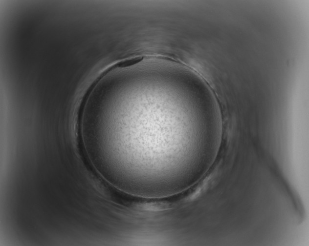 X0000088860103200706151743