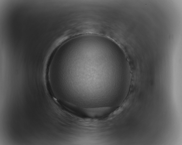 X0000088860104200706151743