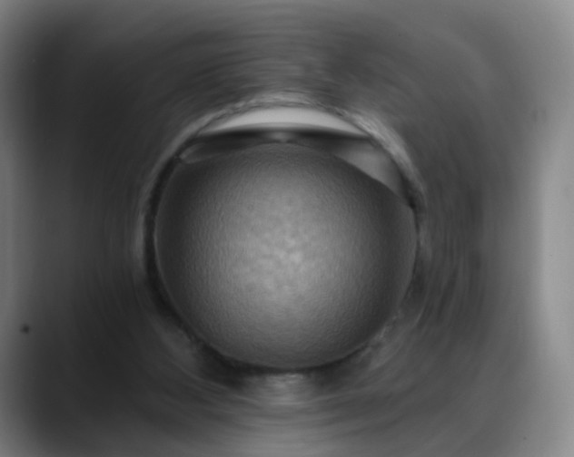X0000088860108200706151743
