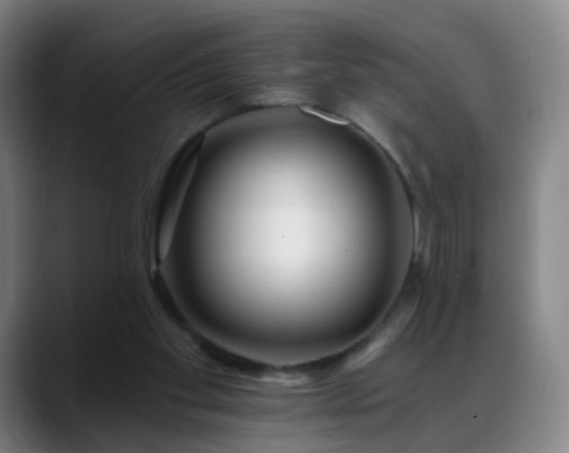 X0000088860109200706151743