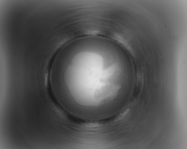 X0000088860110200706151743